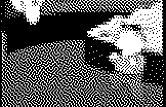 Braille Mono